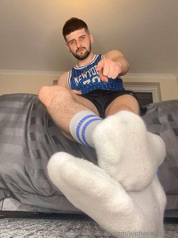 alphaswitchleo image #1