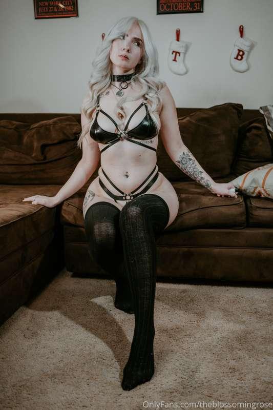 SHOOT AND COVID UPDATE
got some new ones for you all, I hope..