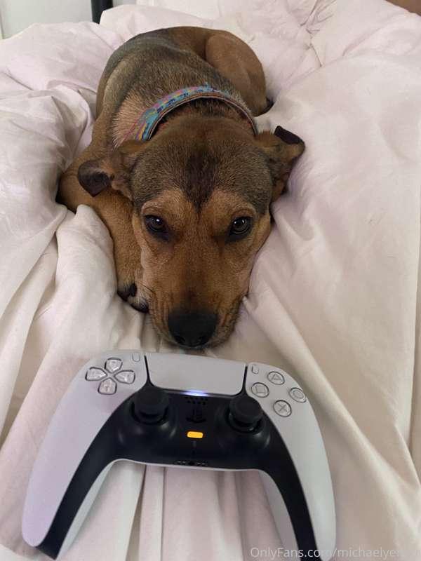 mood 💤 🎮