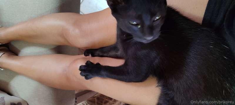 Rocco enjoying My legs 😍 🐾🐈‍⬛💕