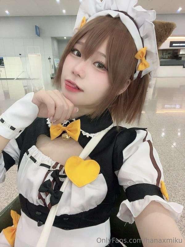 nekopara🧡