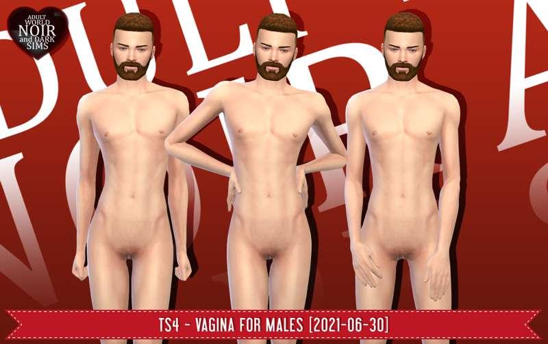 TS4 - Male Vagina [2021-06-30]