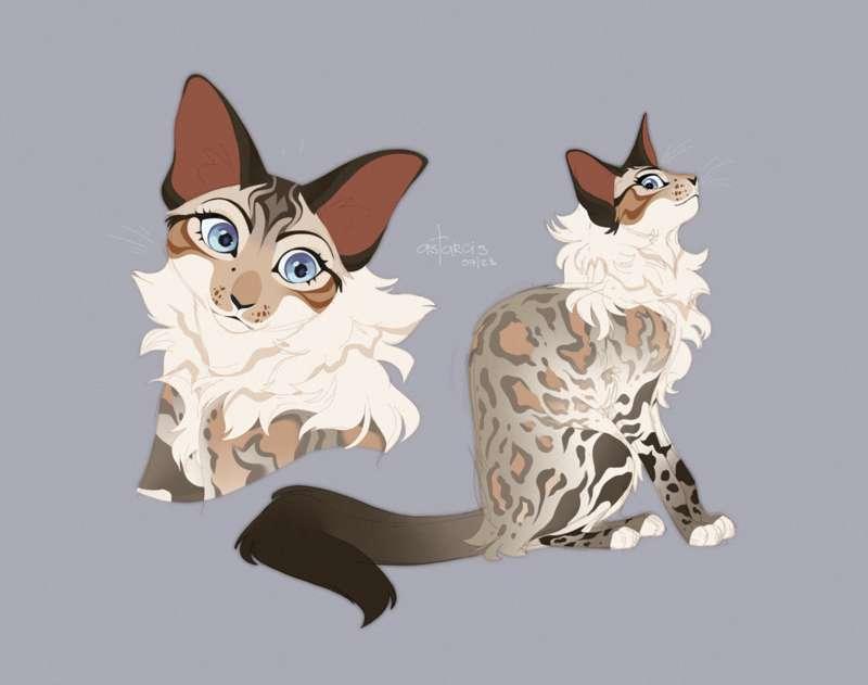 Fullbody sketch commissions of July part 1