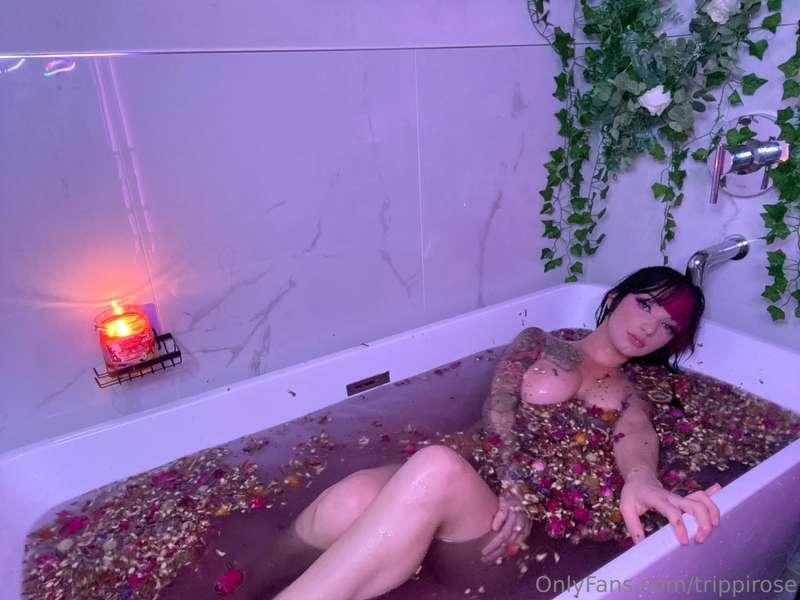 trippirose image #8