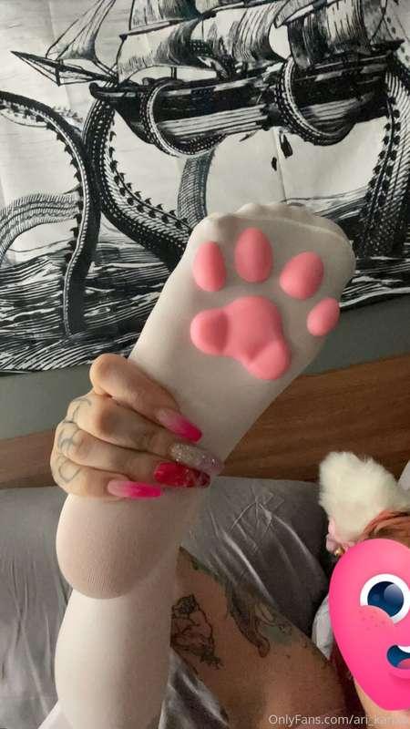 cat girl ari is my fav