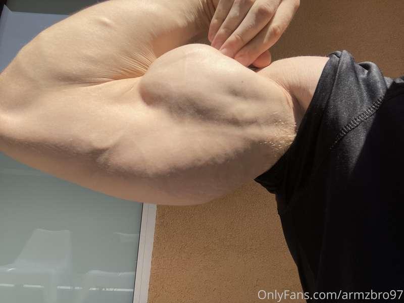 armzbro97 image #0