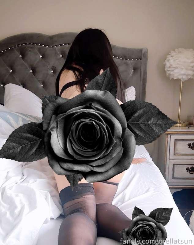 drellatsun image #3
