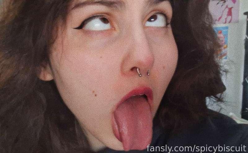 spicybiscuit image #2