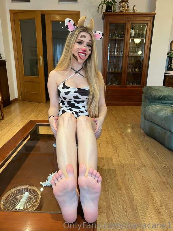 🐮NEW SEXY COW COSPLAY🐄 , do you want my milk? 🍼Or better giv..