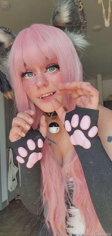 coophound image #0