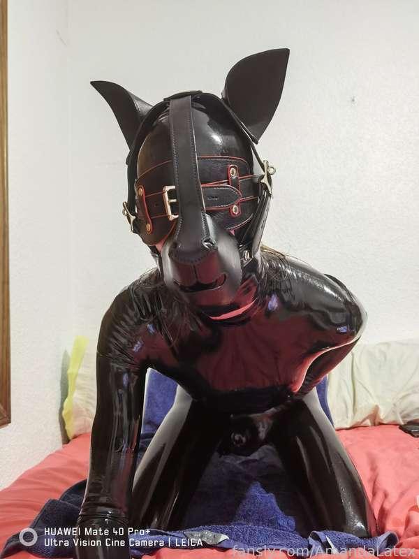 amandalatex image #4