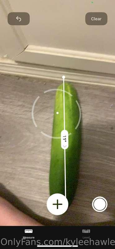 kyleehawley image #2