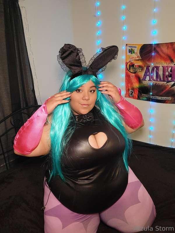 🐰🐰🐰