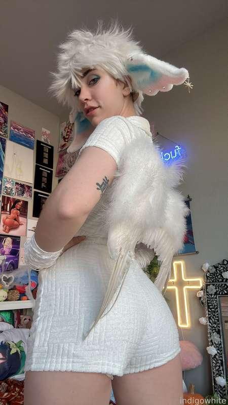 indigowhite image #231
