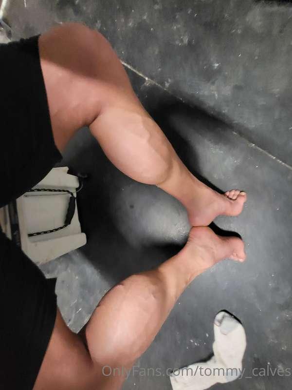 tommy_calves image #1
