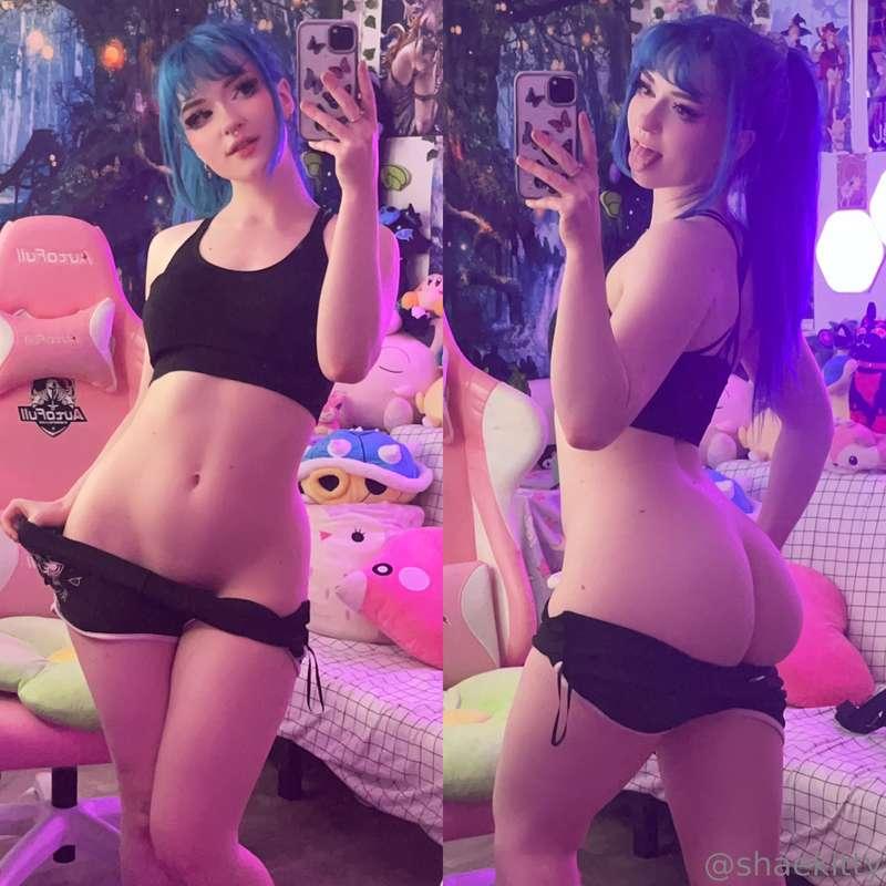 shaekitty main image