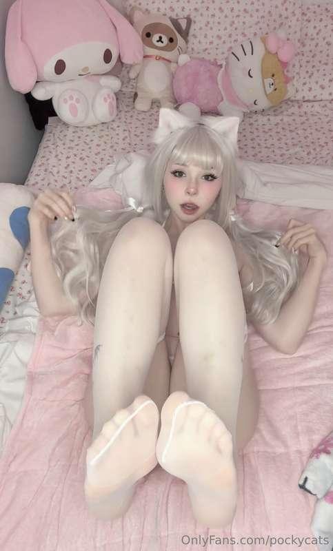 pockycats image #4