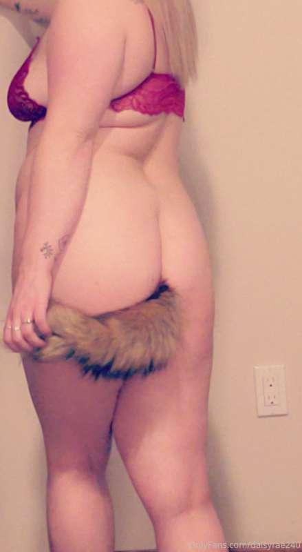😉😈 have you seen me play with my tail yet?
