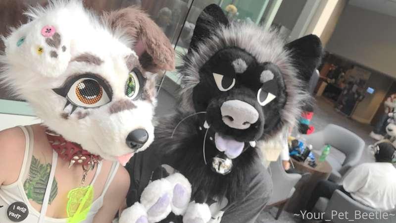 Had a great time. I’ll miss being a big gay dog with my frie..