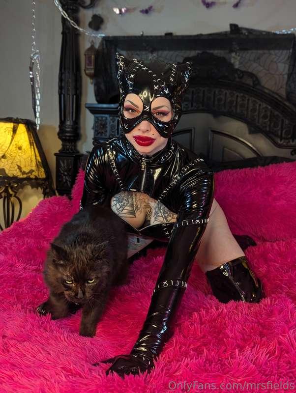 Cats only come when they want to, not when they're told 🖤