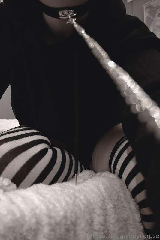 pxppycorpse image #14