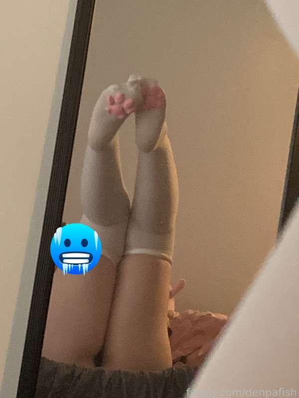 denpafish image #0