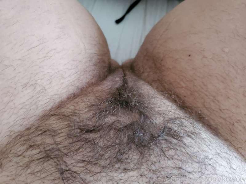 Bush update!