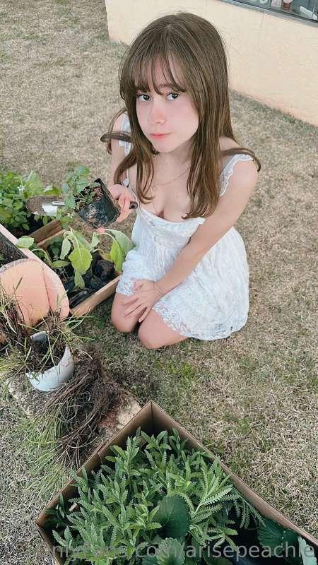 gardening 🌿