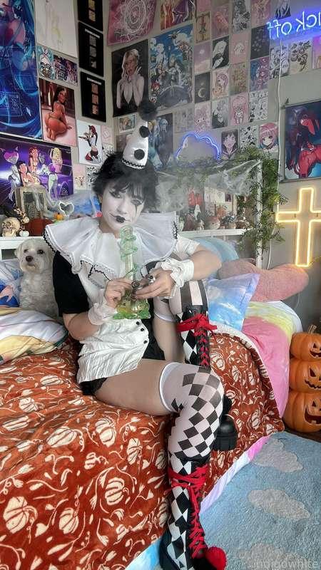 indigowhite image #8