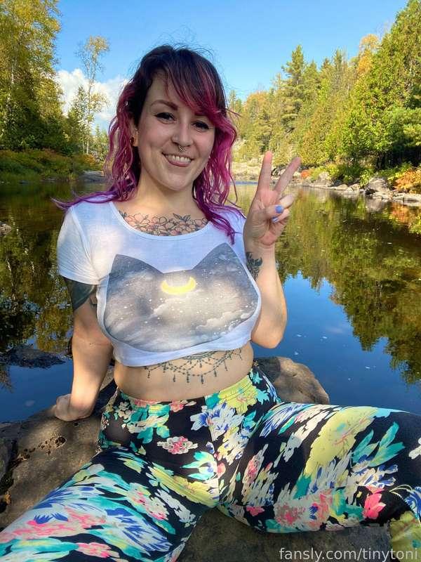 tinytoni image #0