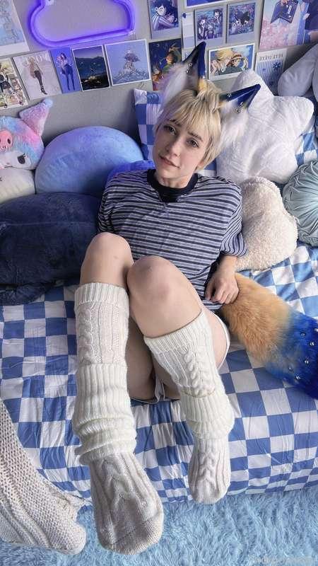indigowhite image #49