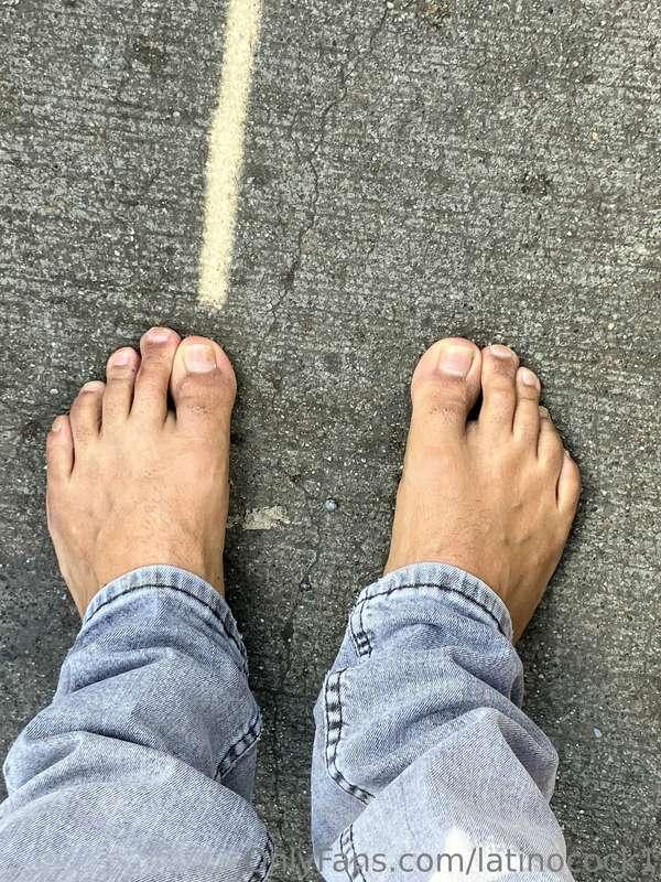 latinocock1 image #0