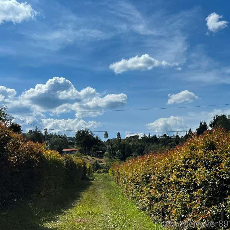 gingerfever89 image #3