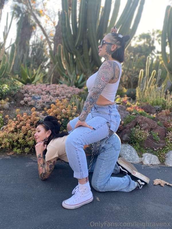 Save a horse. Ride your bestie. 