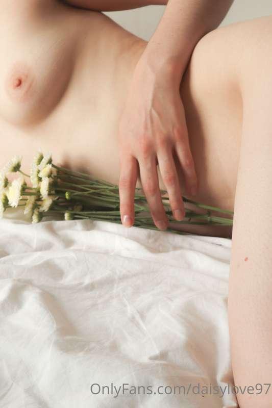 daisylove image #0