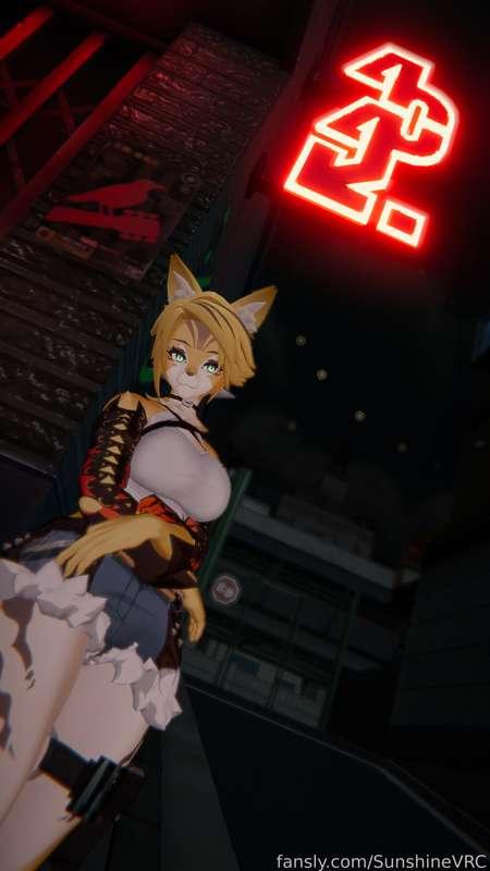 sunshinevrc image #46