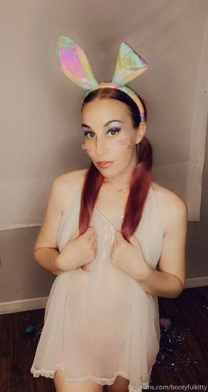bootyfulkitty image #0