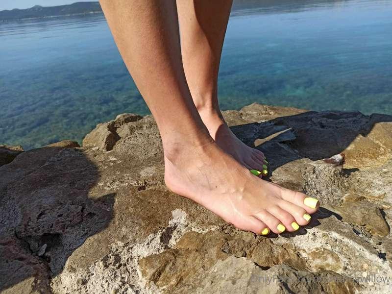 dreamywillow image #13