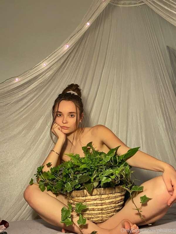 I bought plants today