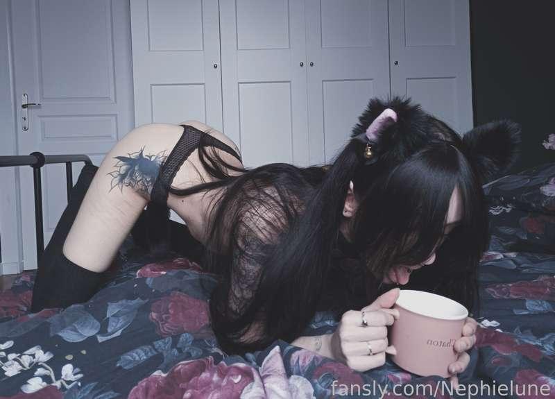 Just lapping some milk like a good kitty. 🐈‍⬛

 · ˚☁︎ ｡⋆ ☽˚｡ · #goth #alternative #petite #brunette #witch #tattoos #petplay #cute #kitten · ｡˚☾ ⋆ ｡ ☁︎˚ · 