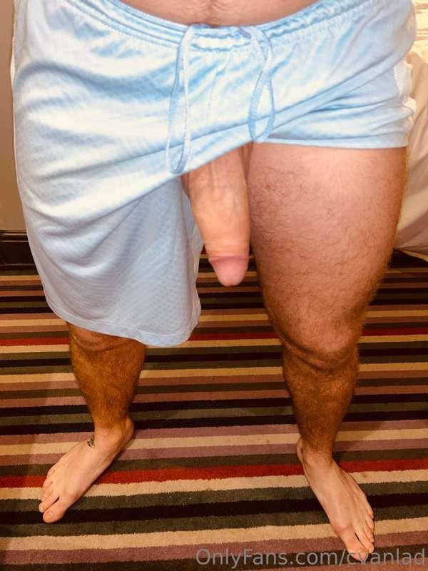 cvanlad image #0