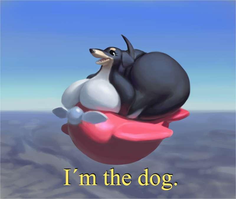 Dog of wisdom