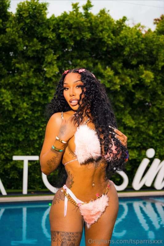 tsparrisxxx image #2