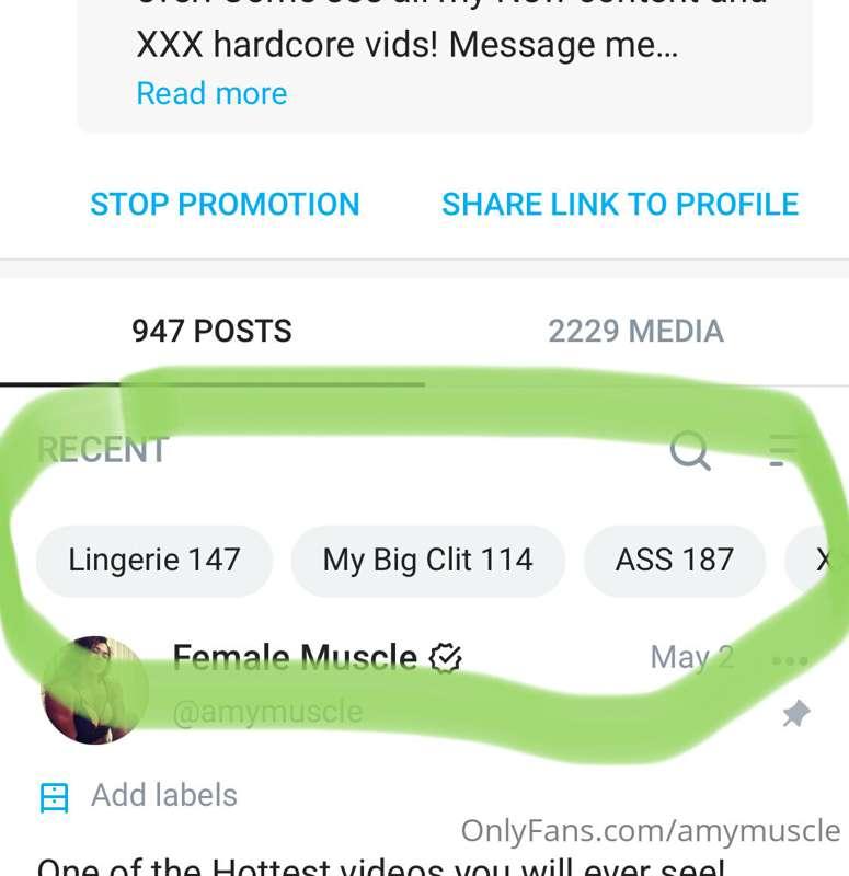 Just a Reminder…..

There are “tabs” at the top of the page ..