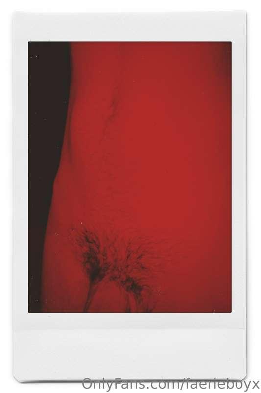 Hairy or shaved? Peluda o depilada?