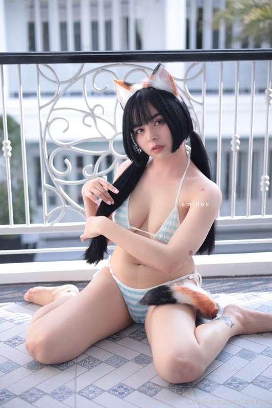 Little fox on your balcony