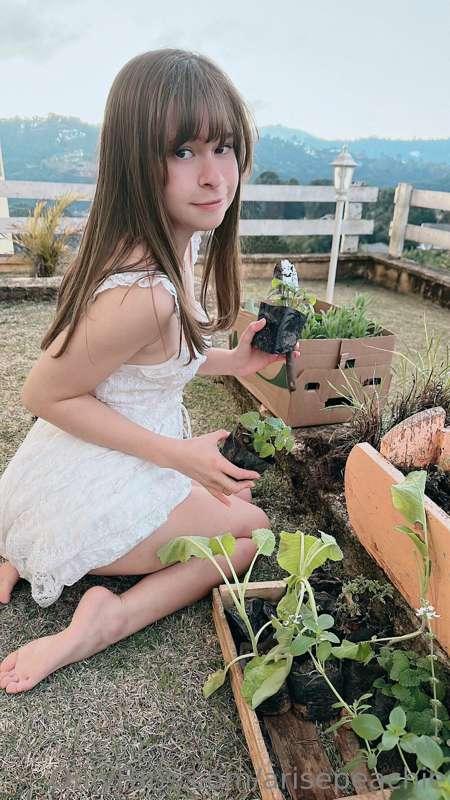 arisepeachy image #1