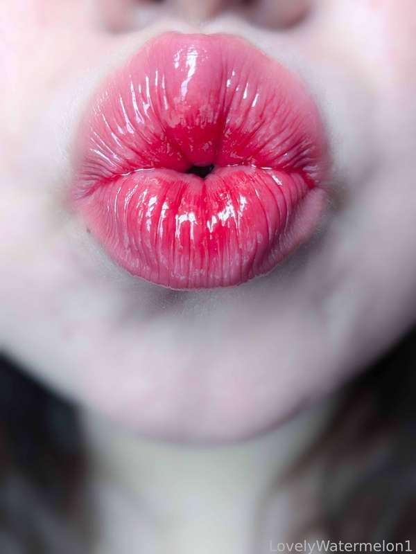 lovelywatermelon1 image #13