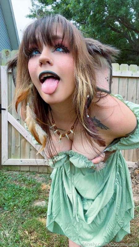 coophound image #13