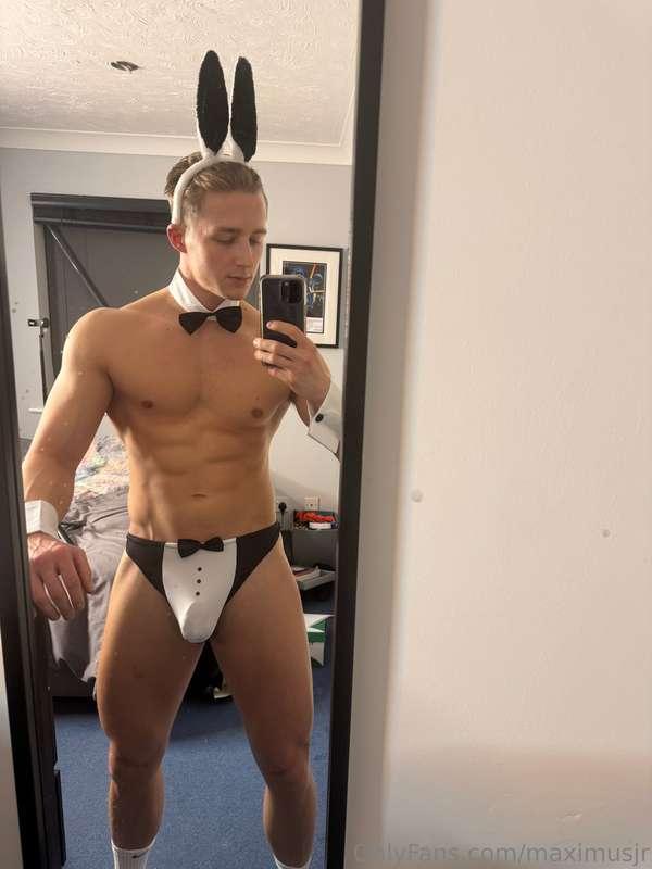 The Easter bunny at your service